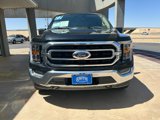 Used 2022 Ford F150 XLT w/ Equipment Group 302A High image 2