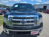 Used 2013 Ford F150 XLT w/ Luxury Equipment Group image 2