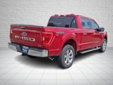Certified 2022 Ford F150 XLT w/ Equipment Group 302A High image 5