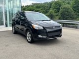 Used 2016 Ford Escape SE w/ SE Leather Comfort Package image 4