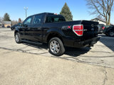 Used 2014 Ford F150 STX w/ Equipment Group 201A Mid image 3