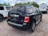 Used 2010 Ford Escape Limited image 2