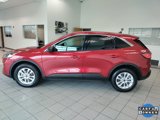 Used 2022 Ford Escape SE w/ Convenience Package image 6