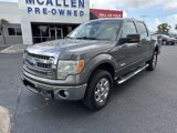 Used 2013 Ford F150 XLT w/ Luxury Equipment Group image 2