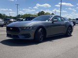 New 2025 Ford Mustang Coupe image 6