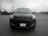 Used 2016 Ford Escape SE w/ SE Leather Comfort Package image 2