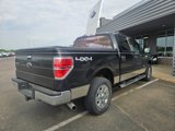 Used 2012 Ford F150 XLT w/ XLT Chrome Pkg image 3
