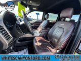 Used 2016 Ford F150 Platinum w/ Equipment Group 701A Luxury image 5