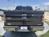 Used 2014 Ford F150 XLT w/ Equipment Group 302A Luxury image 5