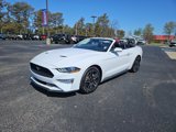 Used 2023 Ford Mustang Premium image 5