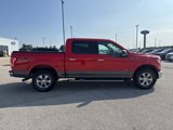 Used 2016 Ford F150 XLT w/ Equipment Group 302A Luxury image 2