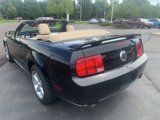 Used 2006 Ford Mustang GT image 2