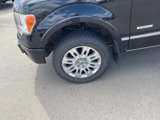 Used 2011 Ford F150 Platinum image 4