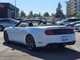 Used 2020 Ford Mustang Premium image 5