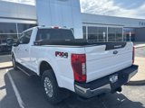 Used 2020 Ford F250 XLT w/ XLT Premium Package image 5
