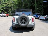 Used 2024 Ford Bronco Wildtrak image 4