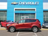 Used 2014 Ford Escape Titanium image 4