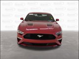 Used 2021 Ford Mustang Coupe w/ Equipment Group 101A image 3