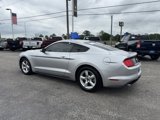 Certified 2019 Ford Mustang Coupe image 5