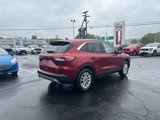 Used 2022 Ford Escape SE w/ Convenience Package image 5