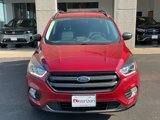 Used 2019 Ford Escape SEL image 2