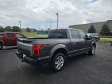 Used 2018 Ford F150 Platinum w/ Equipment Group 701A Luxury image 5