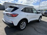 Used 2022 Ford Escape SE image 5