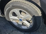 Used 2019 Ford Edge SE w/ Cargo Accessory Package image 5