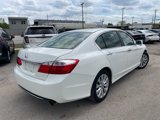 Used 2013 Honda Accord EX-L image 3
