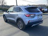 Used 2022 Ford Escape SE w/ Convenience Package image 3