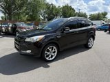 Used 2013 Ford Escape Titanium w/ Parking Technology Pkg image 3