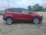Used 2013 Ford Escape Titanium image 2
