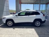 Used 2020 Jeep Cherokee Latitude image 5