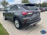 Used 2022 Ford Escape SE w/ Convenience Package image 2