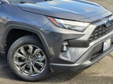 Used 2022 Toyota RAV4 XLE Premium image 2