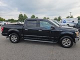 Used 2019 Ford F150 XLT w/ Equipment Group 302A Luxury image 2