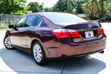 Used 2013 Honda Accord EX image 5