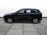 Used 2023 Ford Escape Active image 2