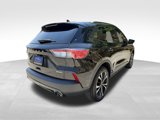 Certified 2022 Ford Escape SE w/ SE Sport Appearance Package image 6