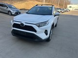 Used 2019 Toyota RAV4 XLE Premium image 4