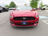 Used 2015 Ford Mustang Coupe w/ Equipment Group 051A image 2