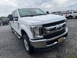 Used 2019 Ford F250 XL w/ STX Appearance Package image 3