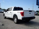 Used 2021 Ford F150 XL w/ Equipment Group 101A High image 6