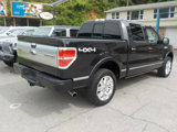 Used 2013 Ford F150 Platinum image 6