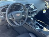 New 2025 Cadillac CT4 Premium Luxury image 2