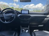 Used 2020 Ford Escape SEL image 2