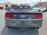 Used 2019 Ford Mustang Premium image 6