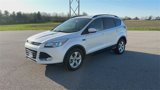 Used 2014 Ford Escape SE w/ Equipment Group 201A image 4
