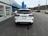 Used 2023 Ford Escape ST-Line w/ Equipment Group 301A image 5