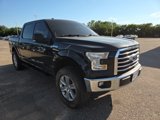 Used 2016 Ford F150 XLT w/ Equipment Group 301A Mid image 6